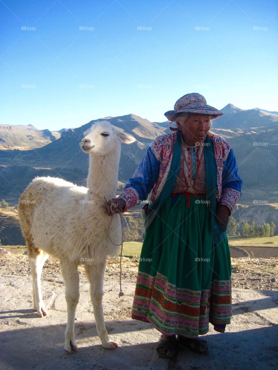 Peruvians lady and llama 