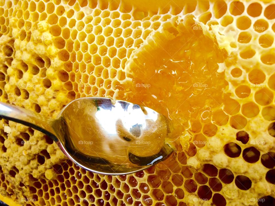Honeycomb with spoon