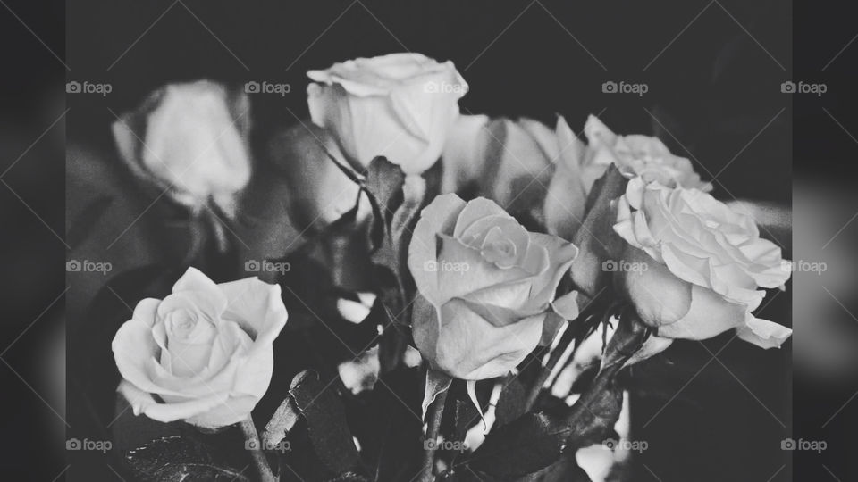 Beautiful rose arrangement 