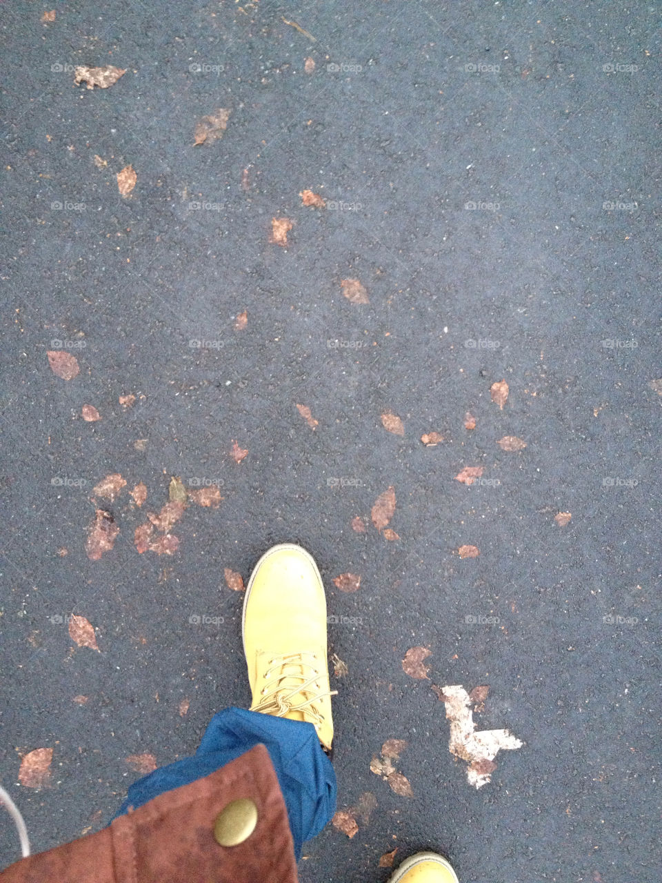 street shoes leaf autumn by arman