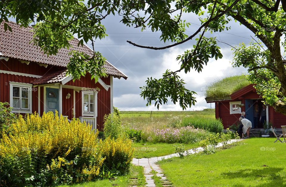 Close-up of country cottage