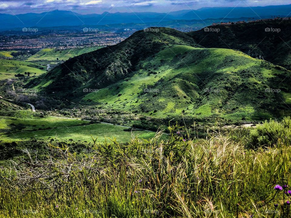 Foap Mission Hiking! Hiking In The Laguna Beach Laguna Canyon Conservancy In The Spring! 