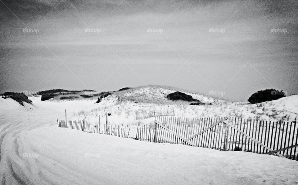 Sand fence