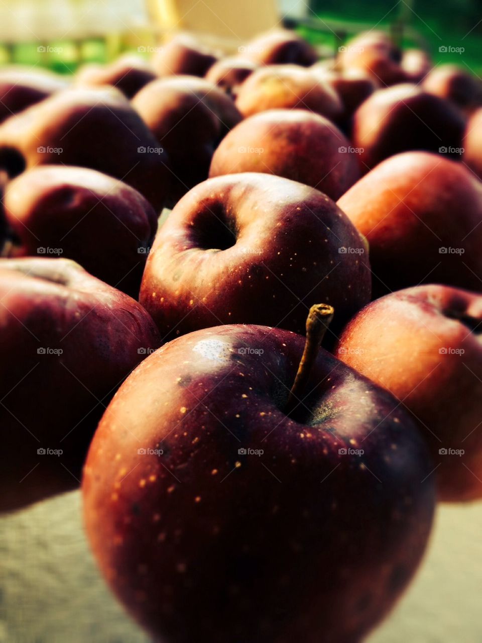 Apples