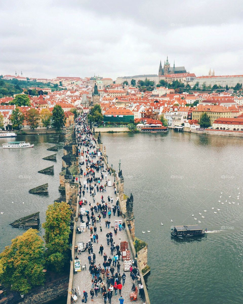 Charles bridge