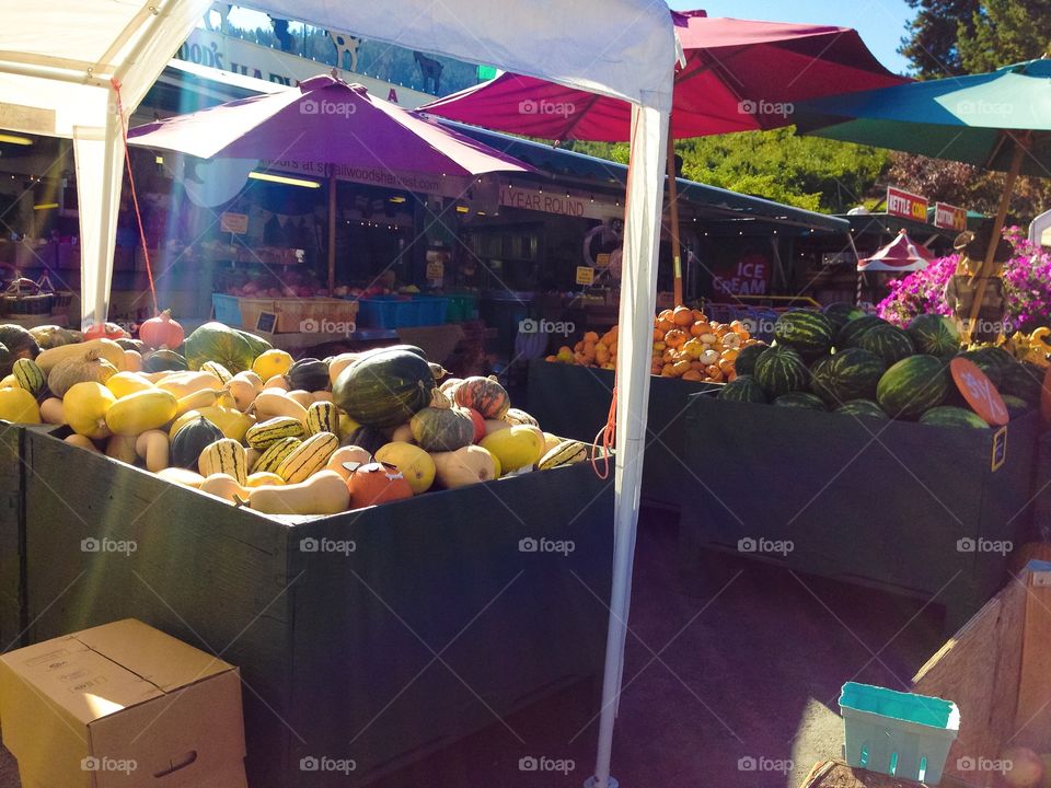 Market, Shopping, Stock, Festival, Shop