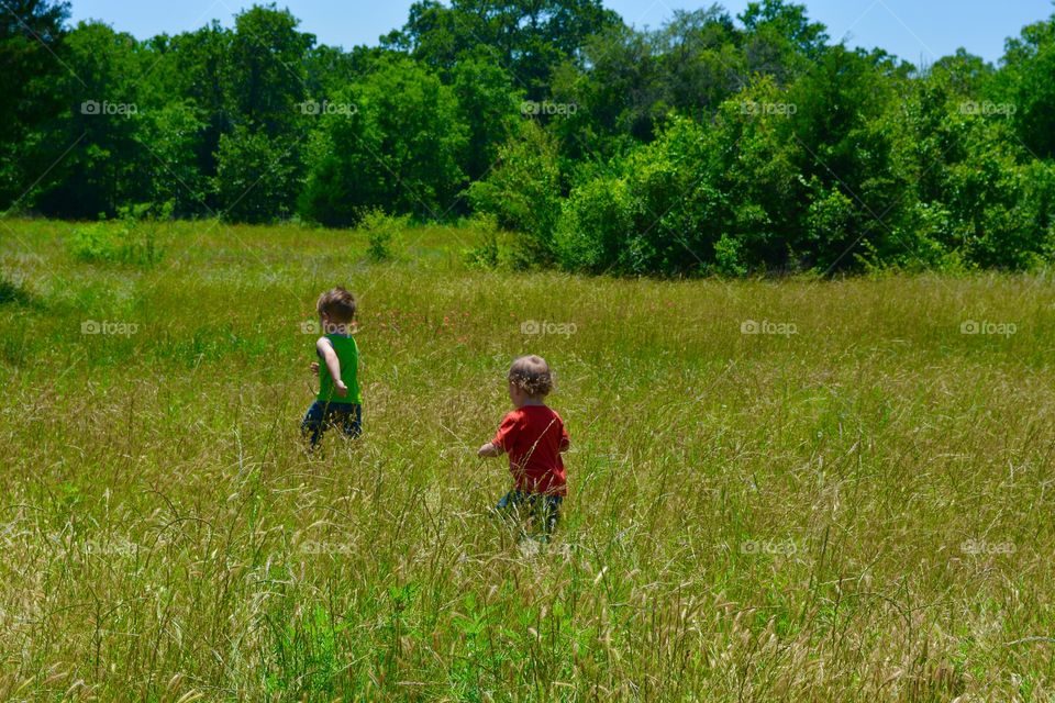 Boys playing in a cow field in the country