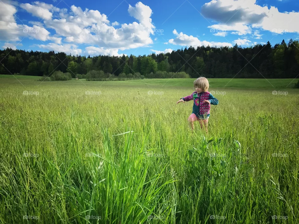 Hunter 