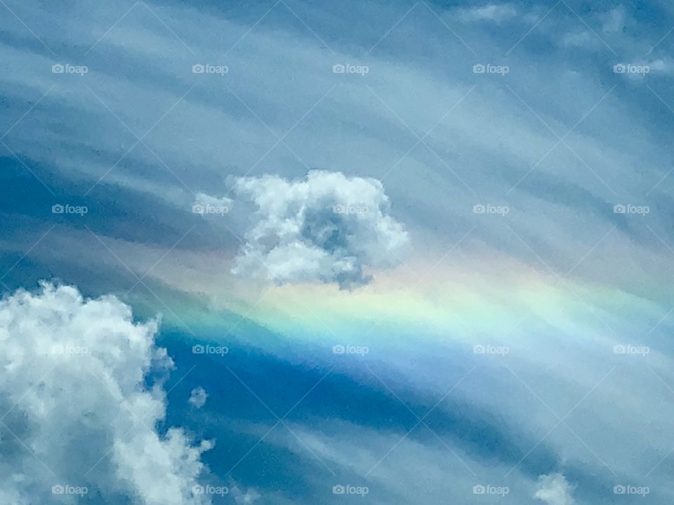 Genesis 9:16 (NIV) “Whenever the rainbow appears in the clouds, I will see it and remember the everlasting covenant between God and all living creatures of every kind on the earth