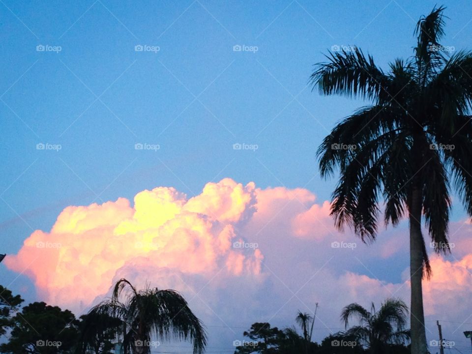 Thunderheads in Florida 