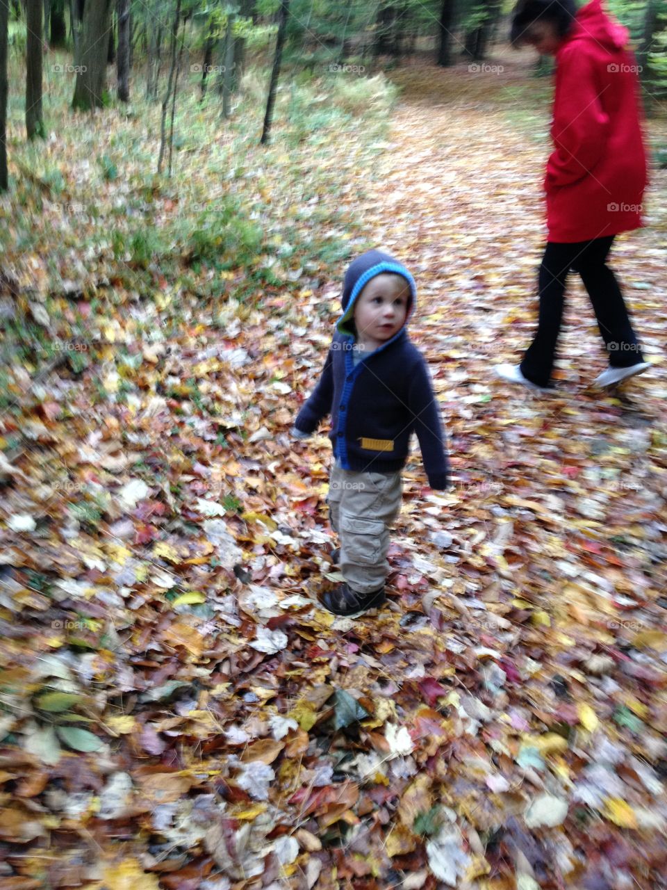 "Little Man" playing in leaves. Hiking in the Catskills with "little man" on an Autumn Da
