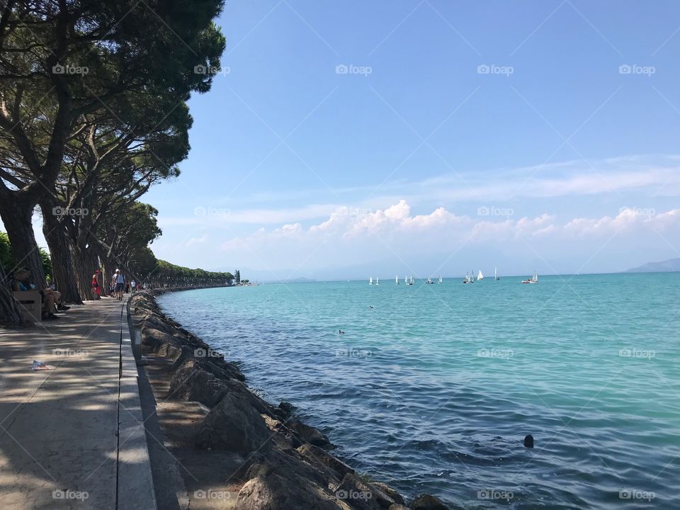 On the shore of the lake many people were walking . There is a row of big trees, some benches. The lake water is blue, the sky is blue and the clouds are white. There are many white sailing boats, great scenery , nature always beautiful