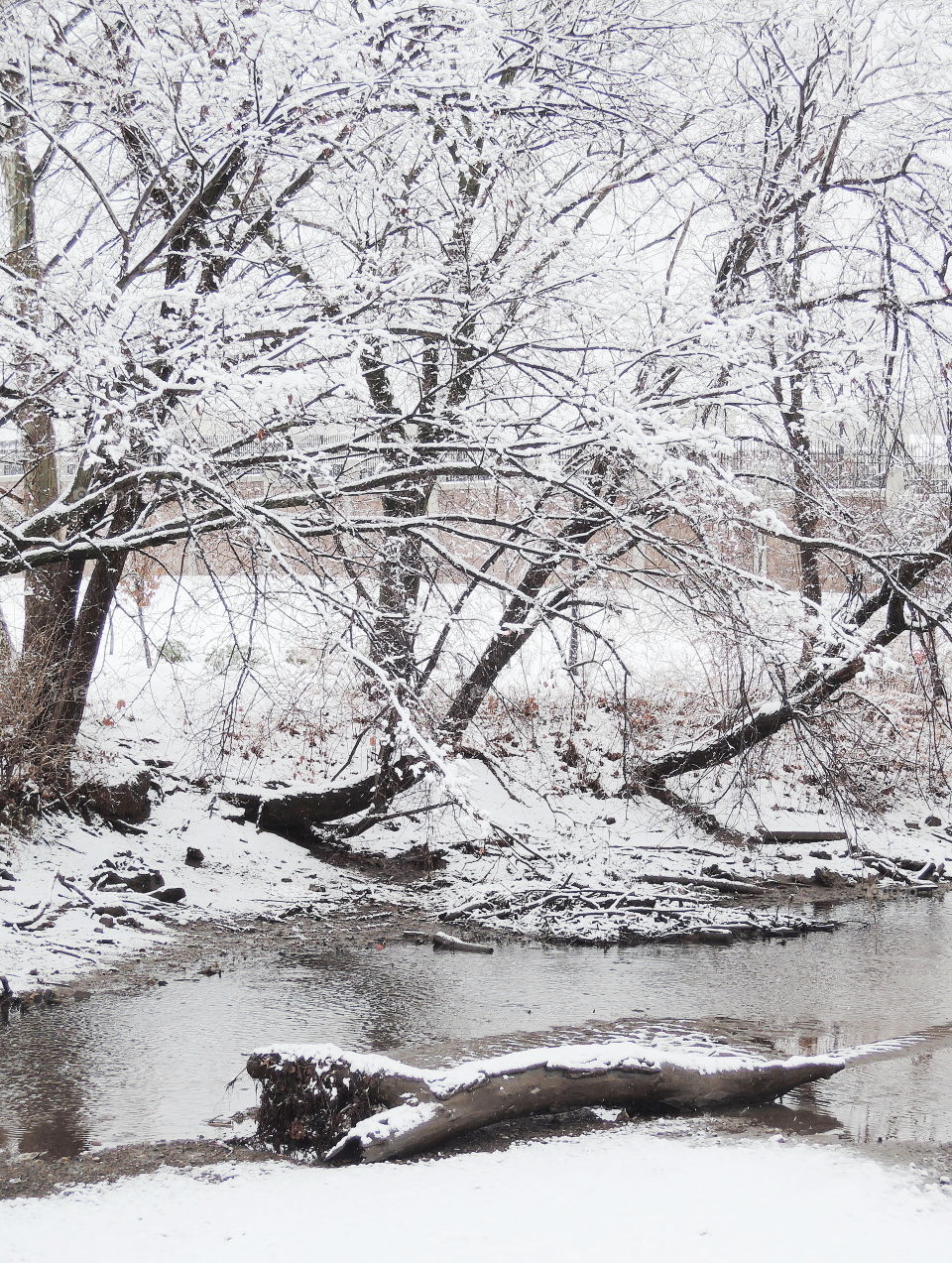 winter river