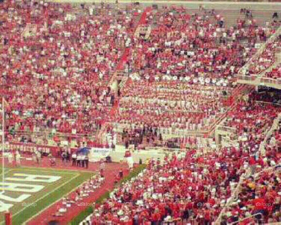 razorback stadium