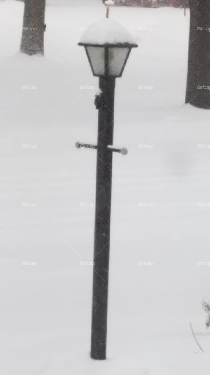 Snow covered lamppost