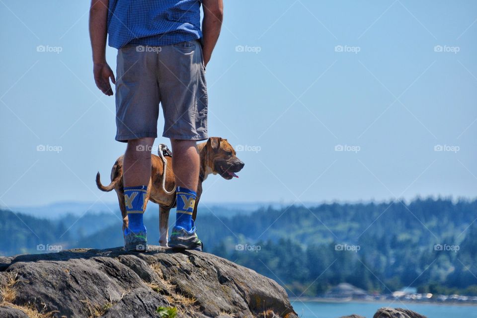 Dog and owner at the summit