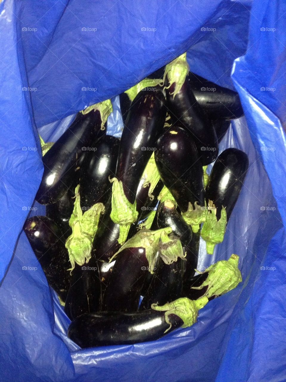Eggplant