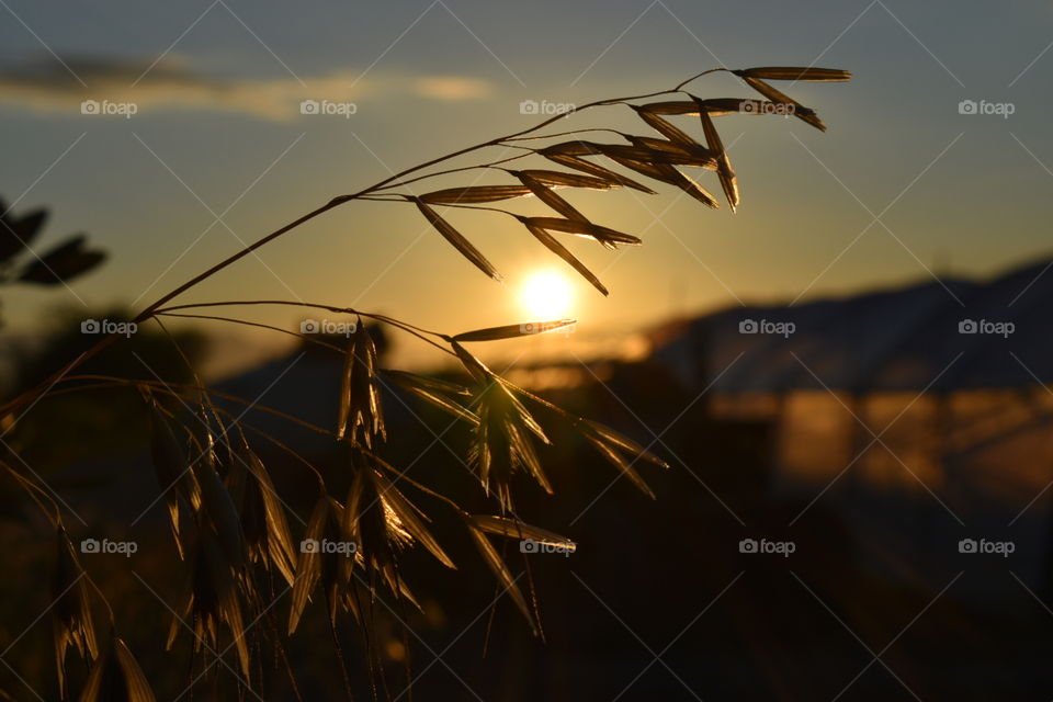 sunrise in early morning