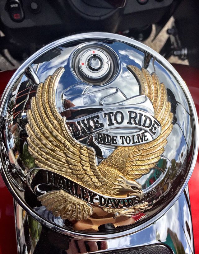 Live to Ride Sign