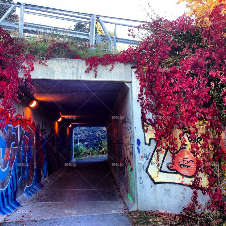 Walk through tunnel