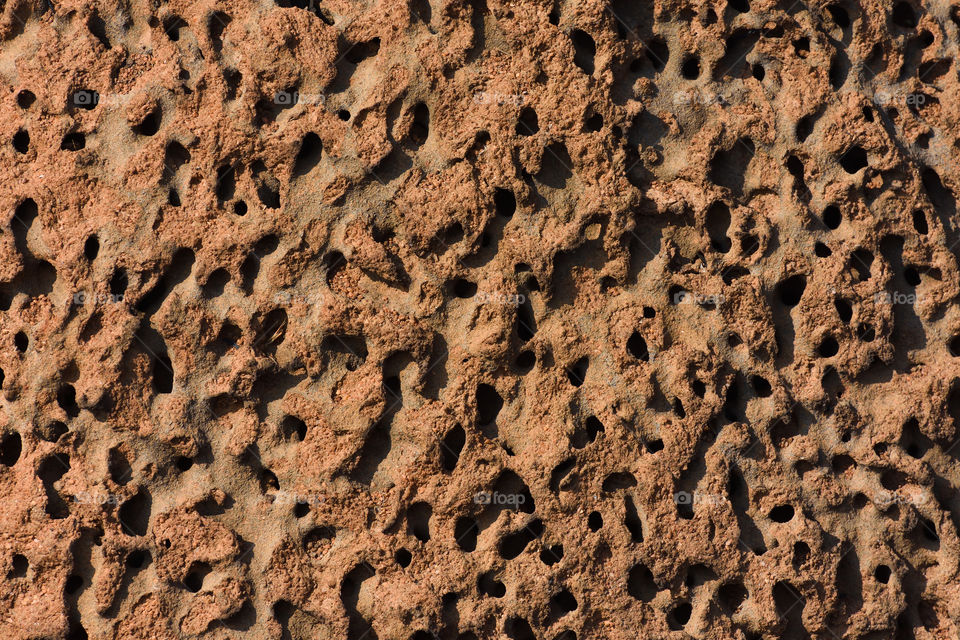 Anthill Colony Open Tunnel Complex Texture, Rustenburg, South Africa