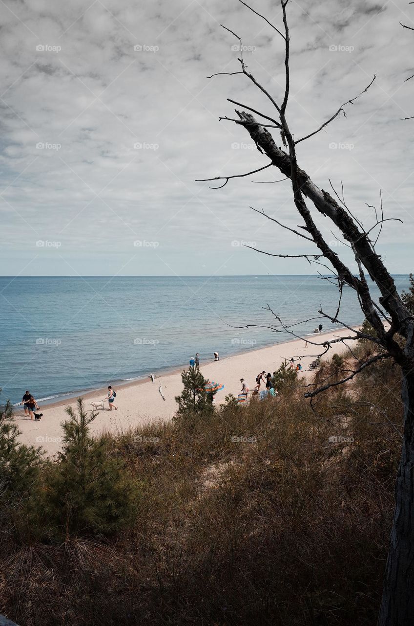 nature and exercise are great for your mental health