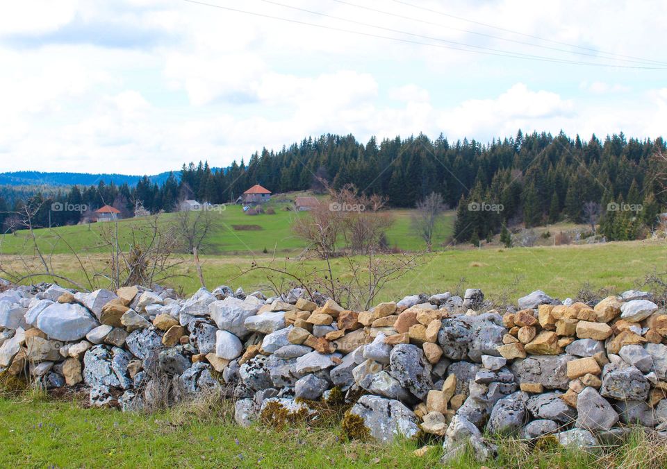 Spring landscape in the countryside