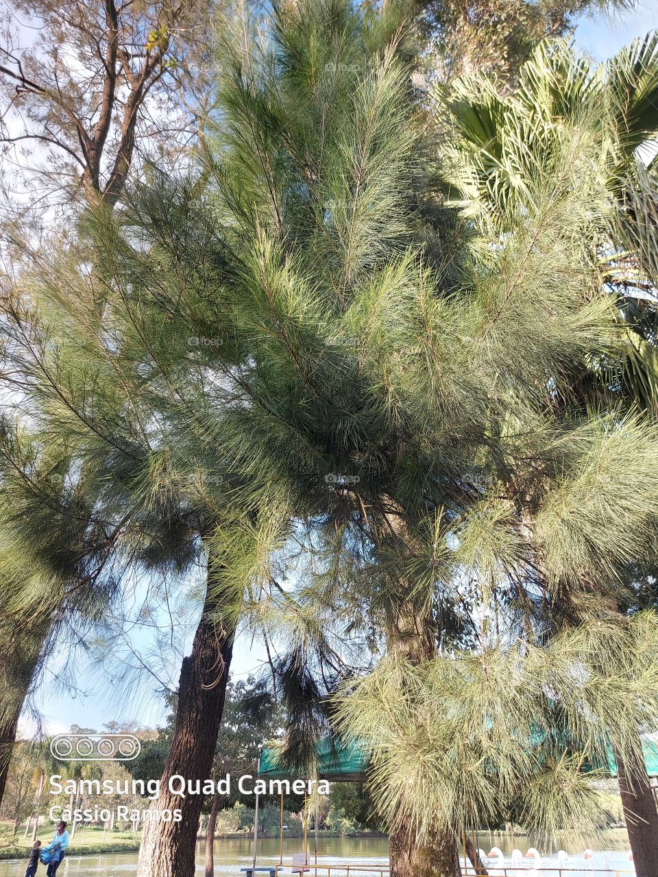 isso faz parte da minha vida