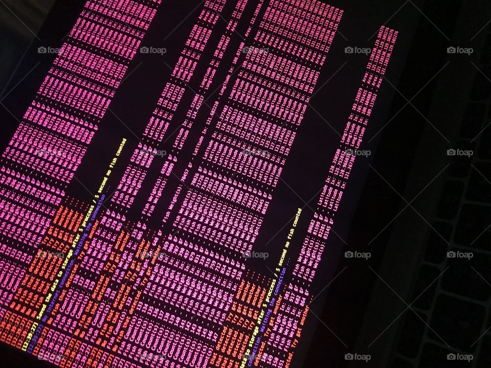 Programmer maka an code