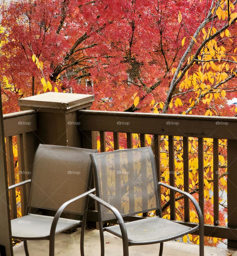 Deck chairs for two on Suburban deck in Oregon Autumn