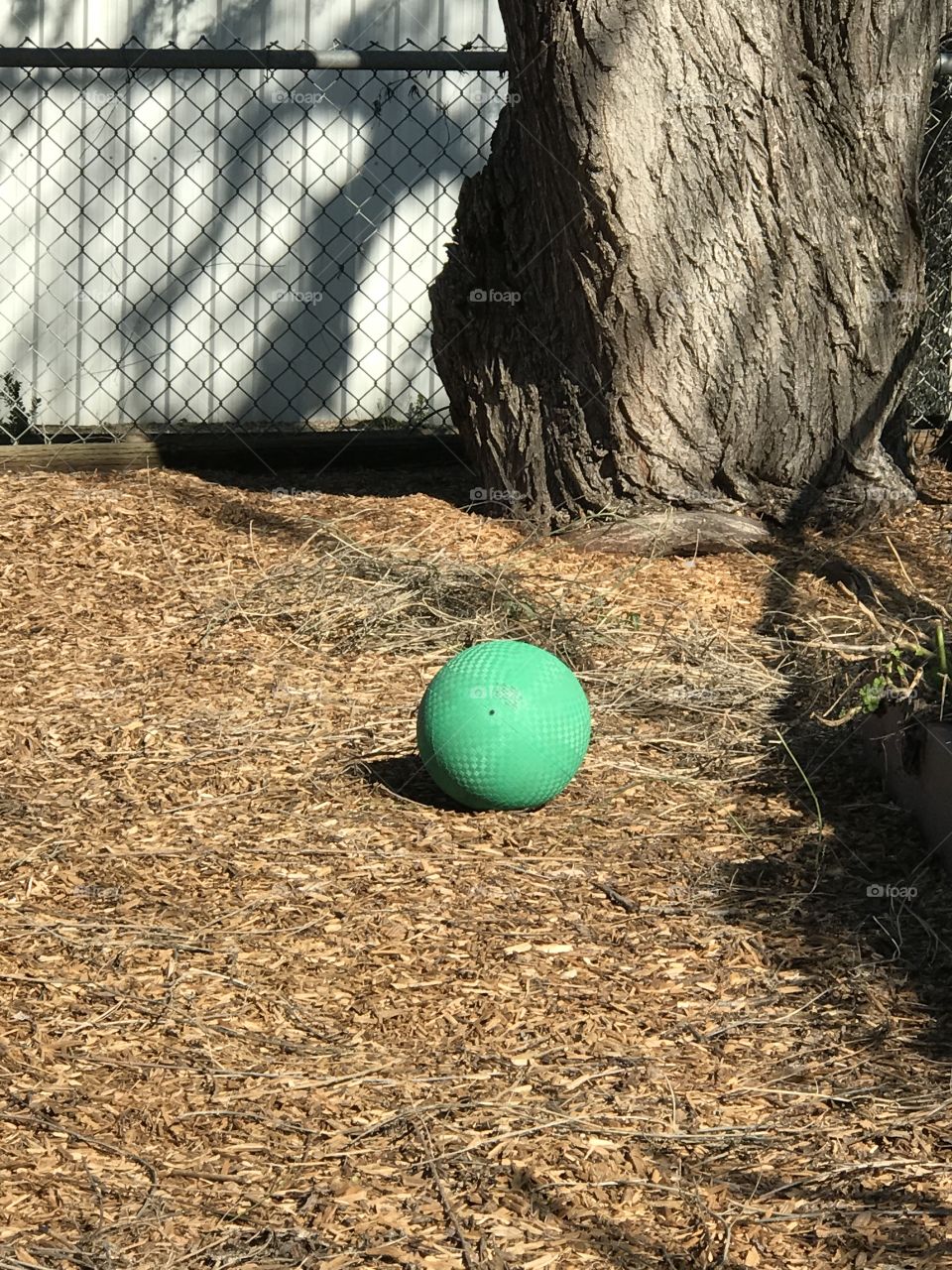 The big ball and of green 