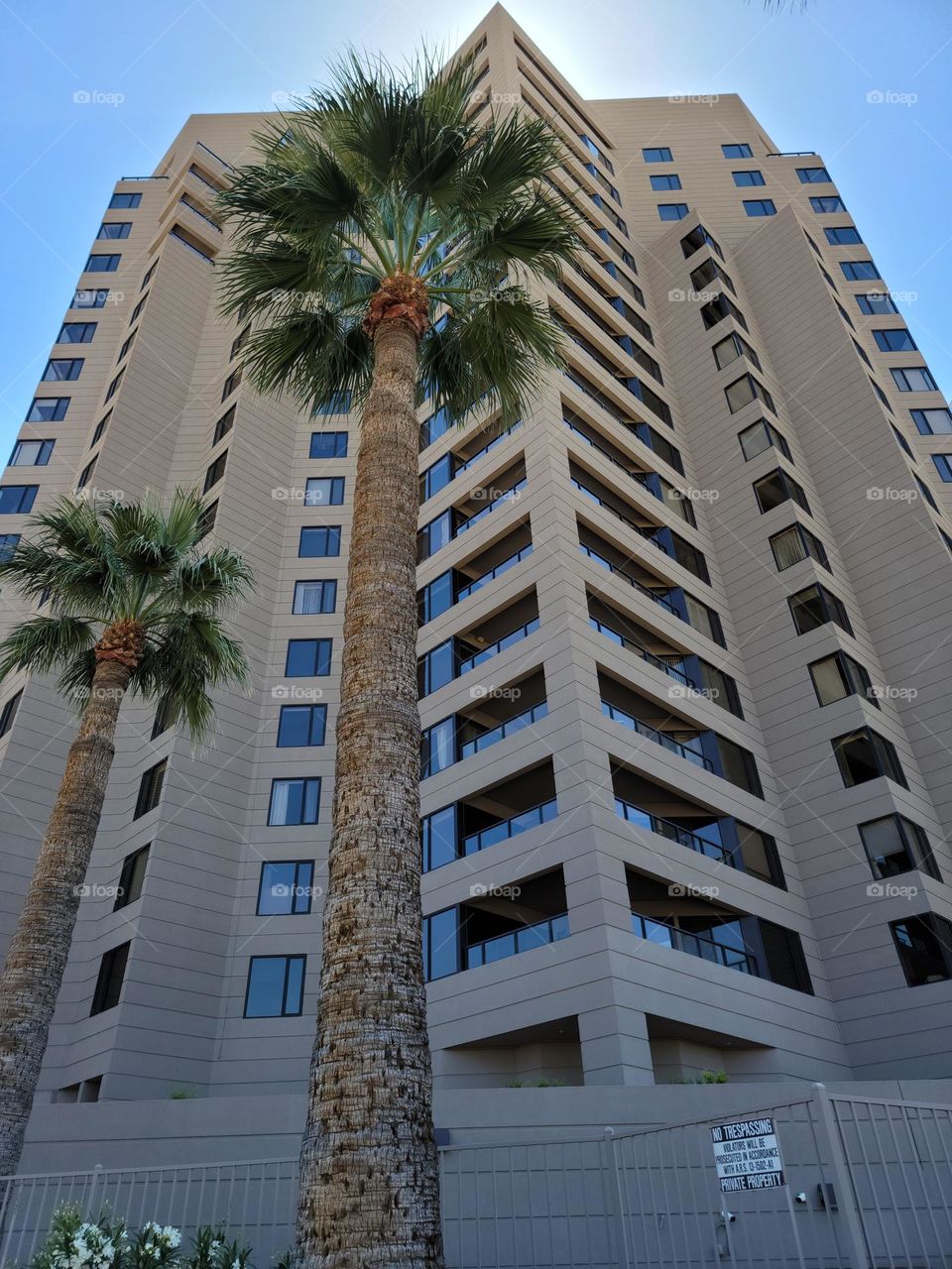 The contrast of the Palm trees next to the building, the palm trees are so small in comparison.