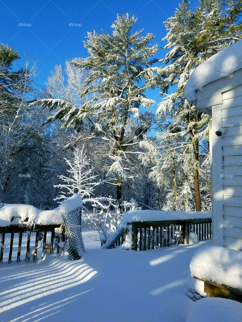 After snowstorm pic of back porch covered in snow. Clear blue sky, tree branches in woods covered in snow too. Sun casting shadows.