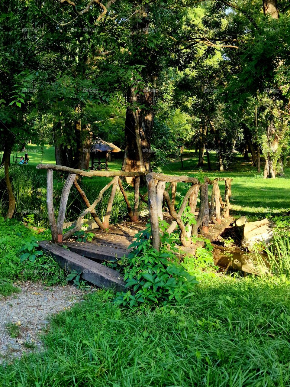 wooden bridge