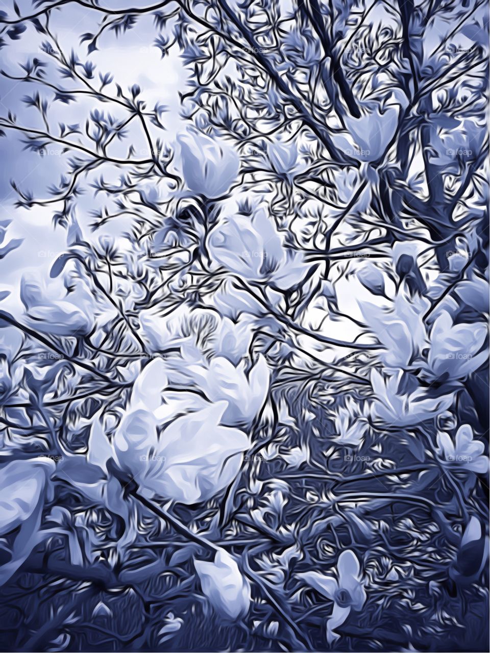 Magnolia Tree, Central Park-New York City. Instagram,@PennyPeronto