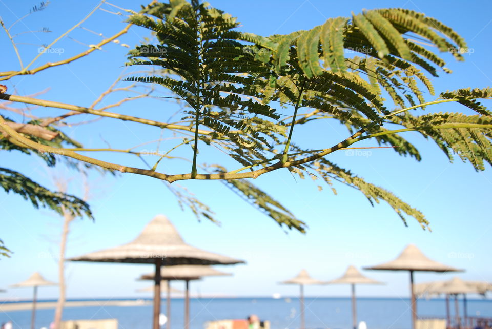 Sun shade at the beach
