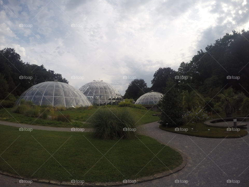 Botanical Garden of Zürich