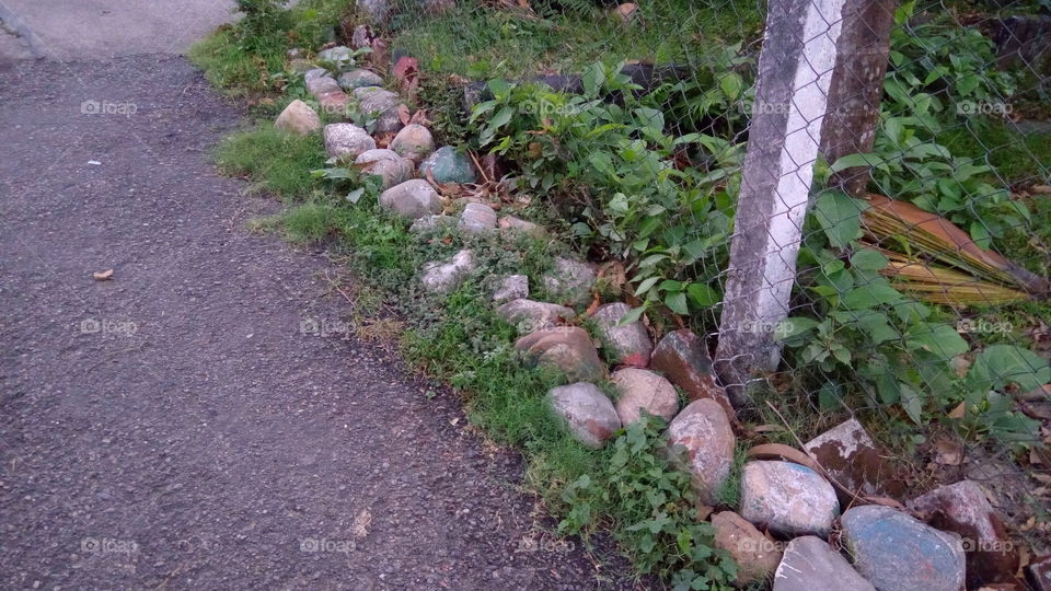 path & Stone