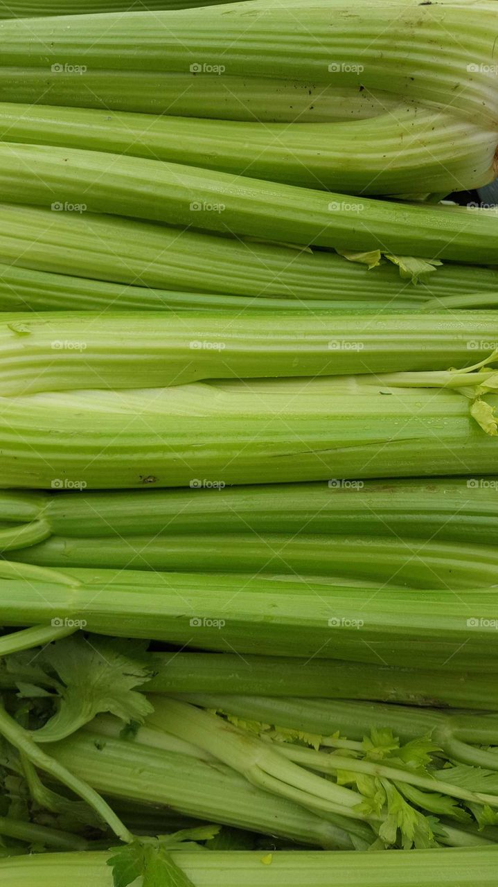 Celery stalks lined up at a farmer's market celebrate color and texture.