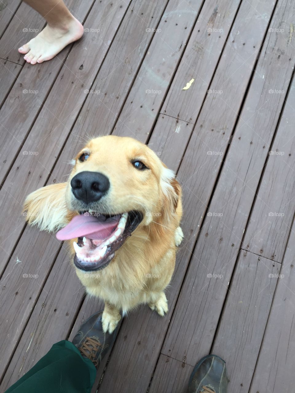 At the in laws. She was super happy to be running around with us in the morning!