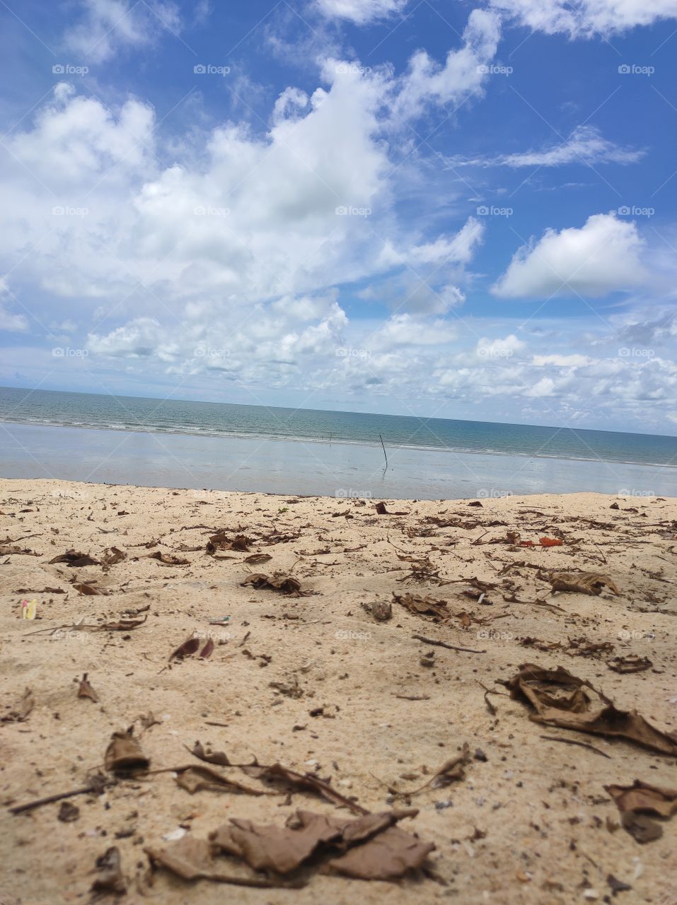 the beauty of the scenery on the beach in the afternoon