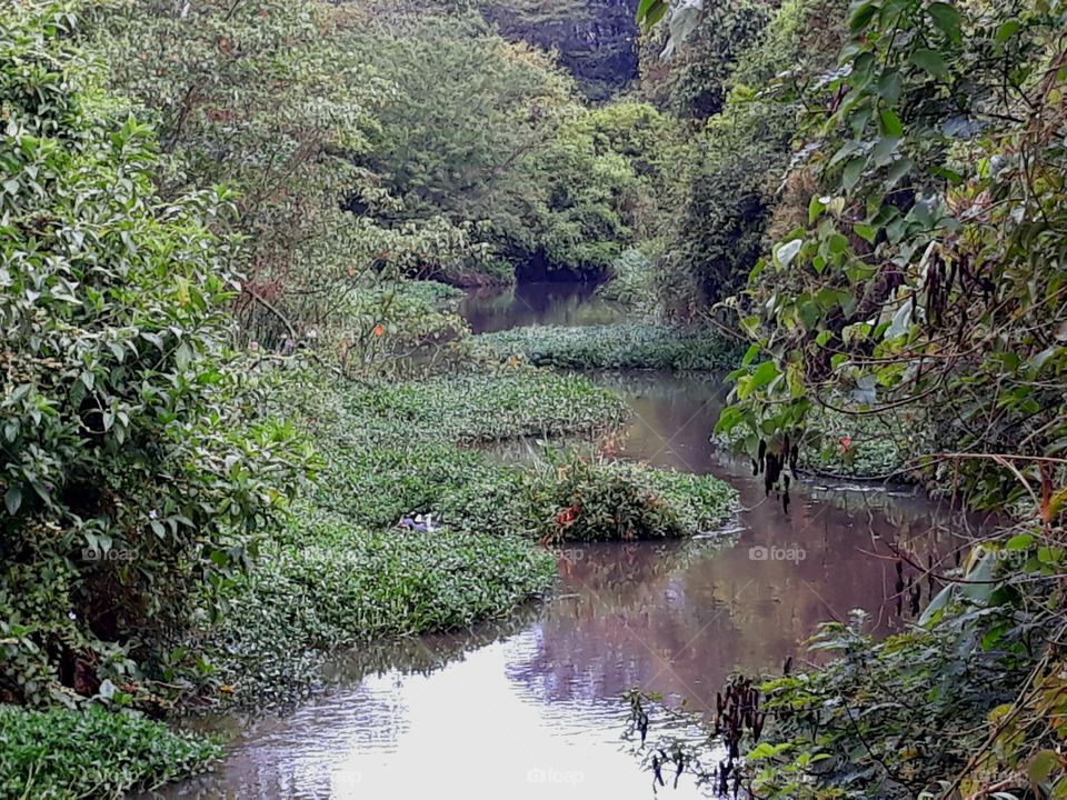 in simplicity nature shows us what is beautiful