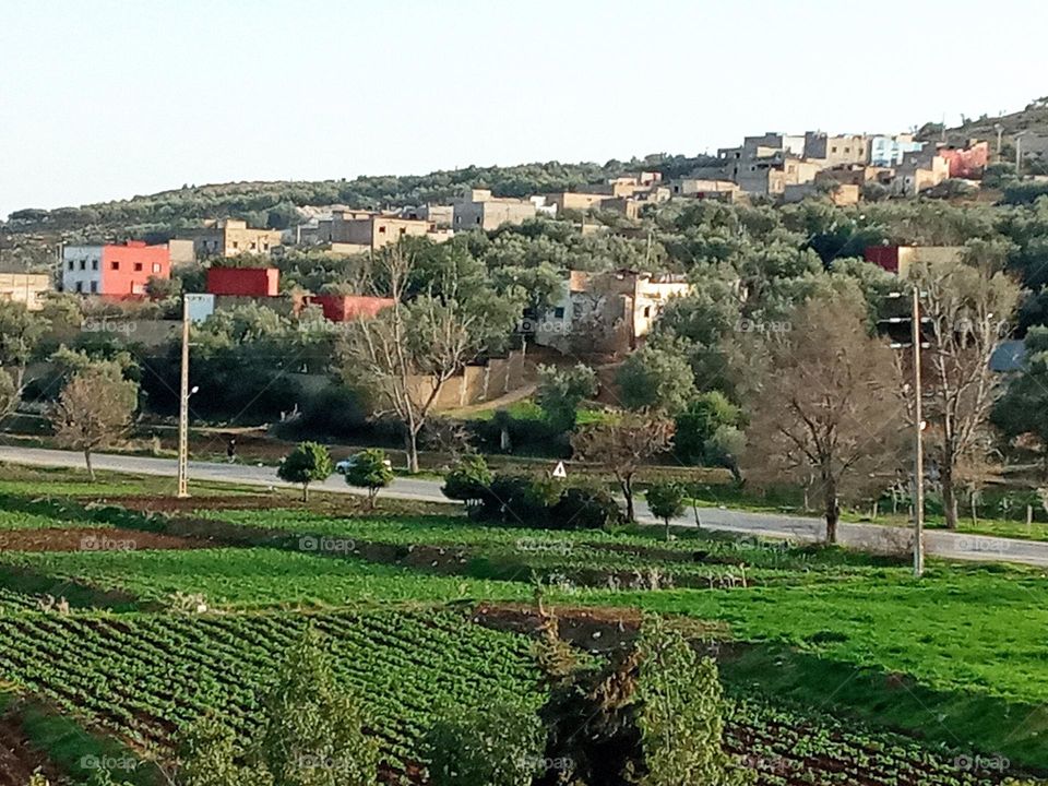 population between the nature