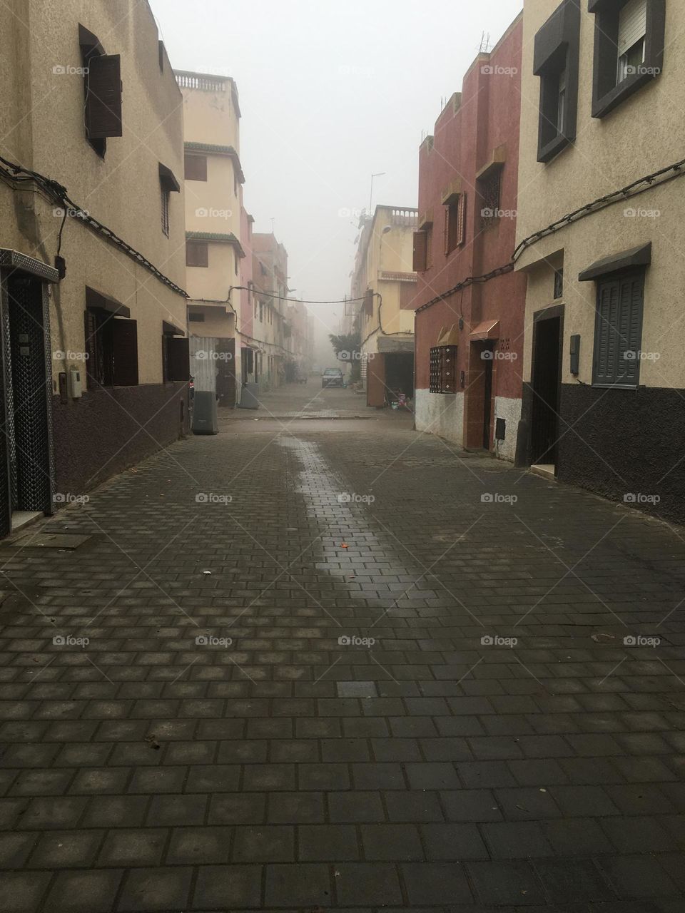 Foggy morning 