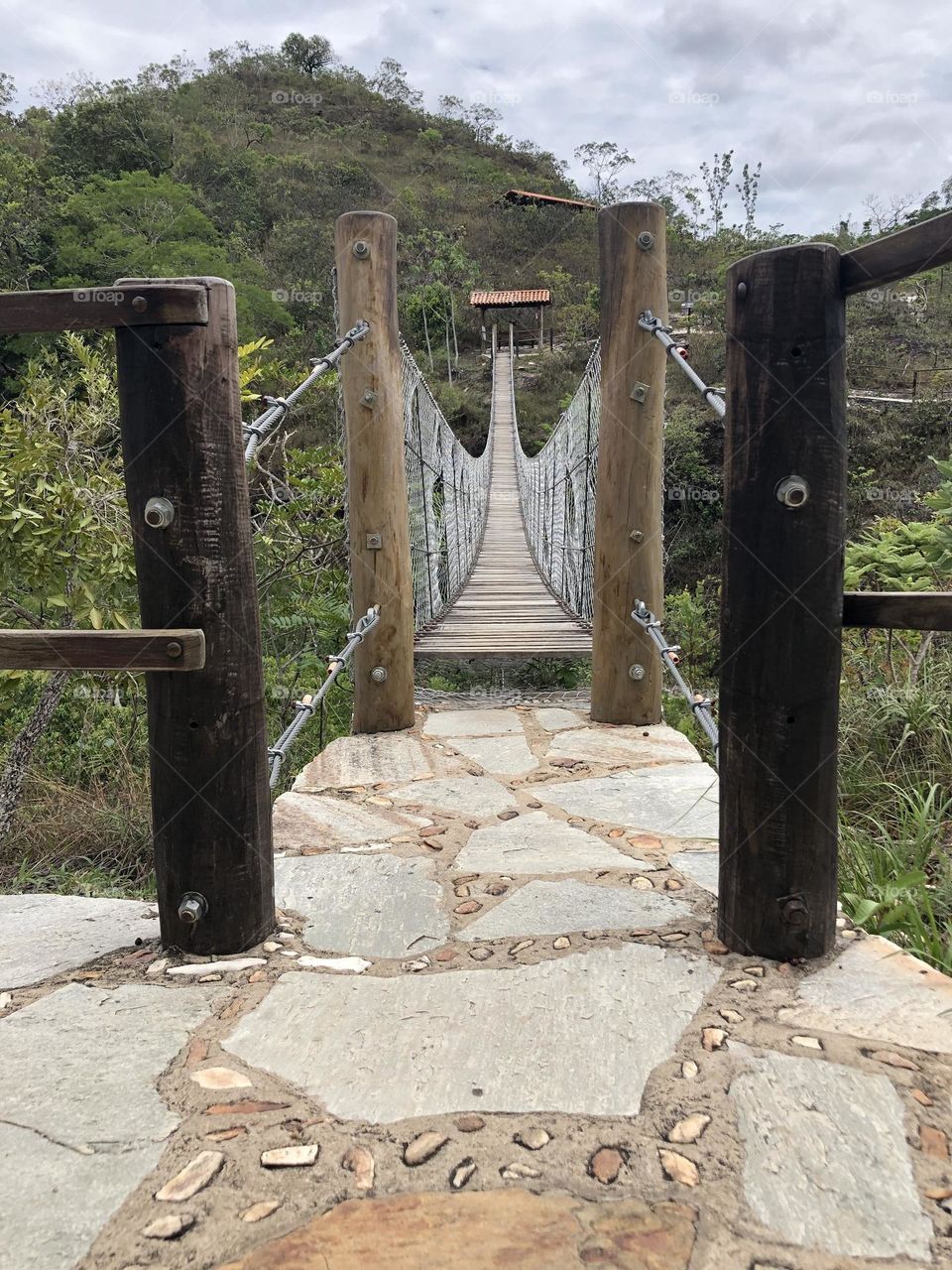 Bridge built in wood and steel crossing the forest