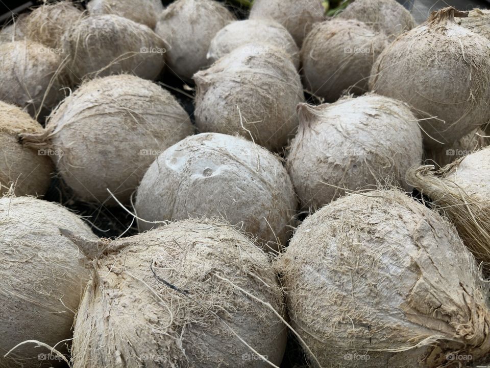 coconut