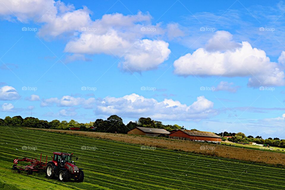 Beautifully fields! 