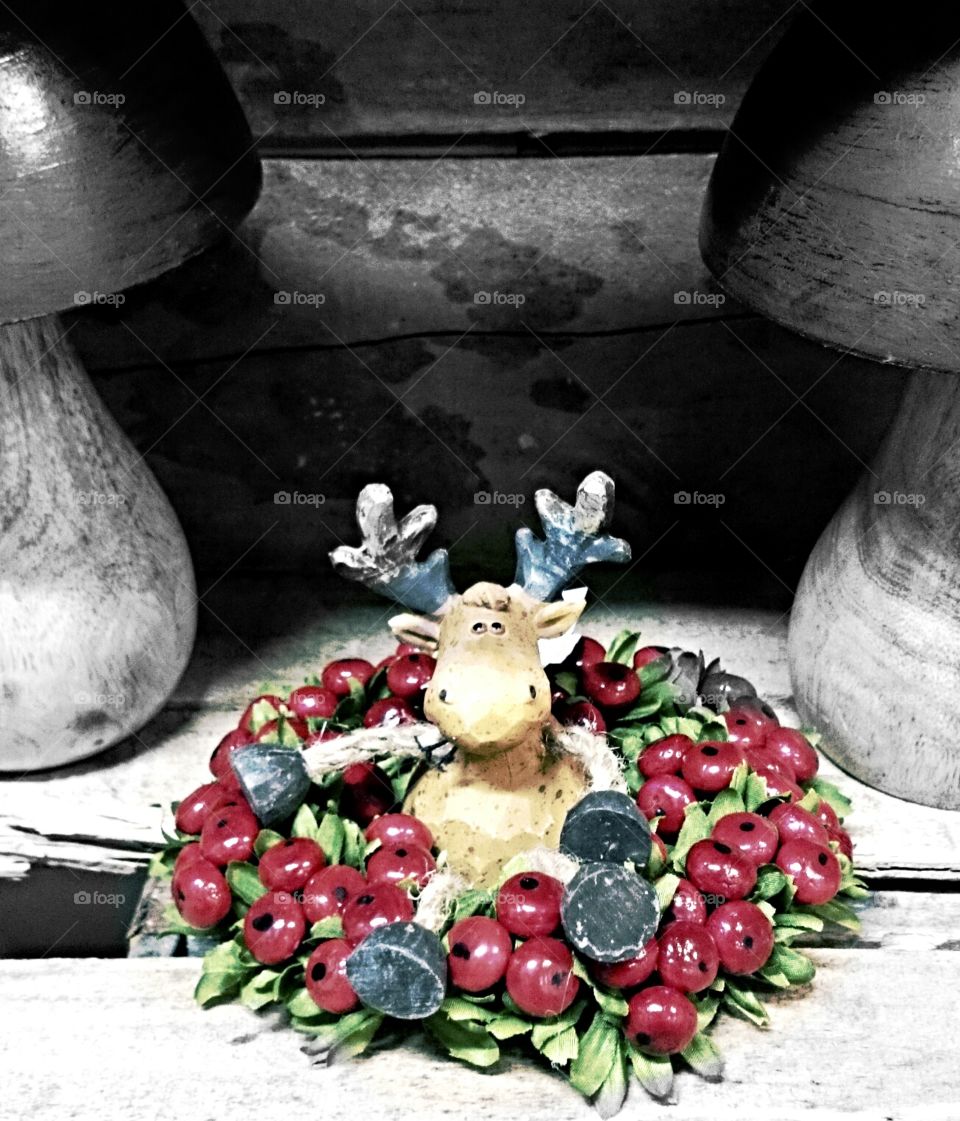 Christmas elk. Reindeer, Rudolf