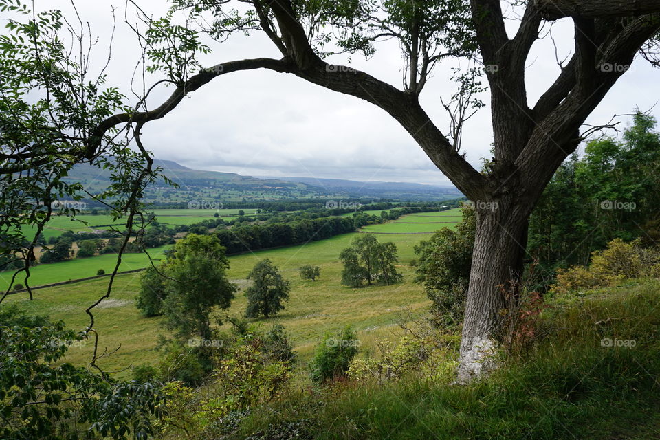 Framed Landscape of the Yorkshire Dales 