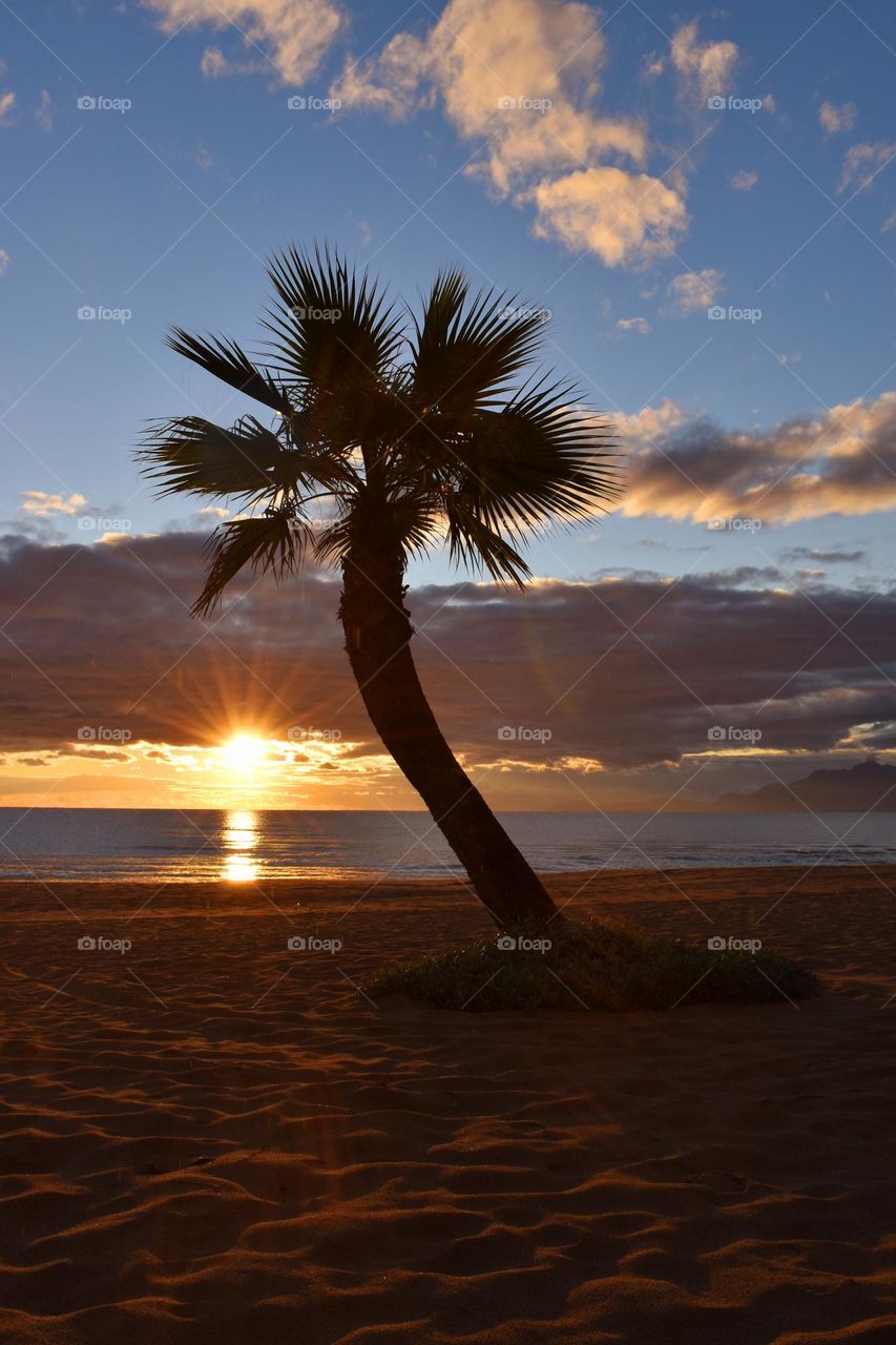 sunset